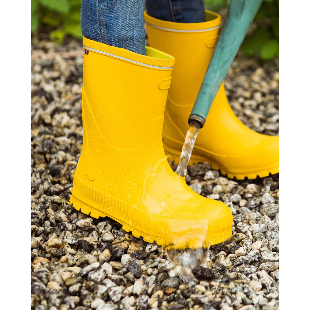 VIKING Sun/Yellow Jolly