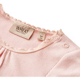 Wheat Rose Ballet Body Edna