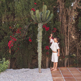 That's Mine Brilliant White Iris Shorts