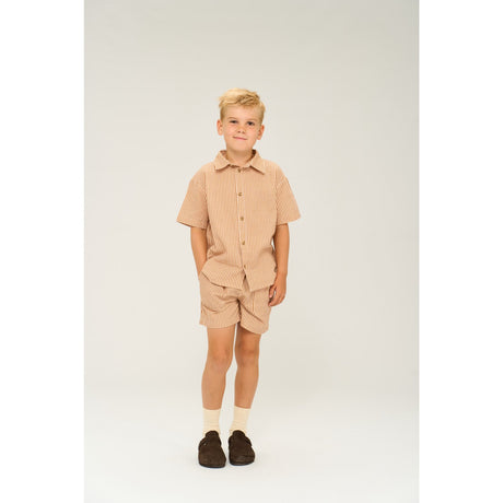 The New Indian Tan Striped Ollie Skjorta