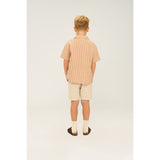 The New Indian Tan Striped Ollie Skjorta