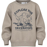 Name It Pure Cashmere Triceratops Vion Regular Sweatshirt