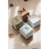 Little Dutch Forest Friends Blue Aktivitetsterninger 4-Pack