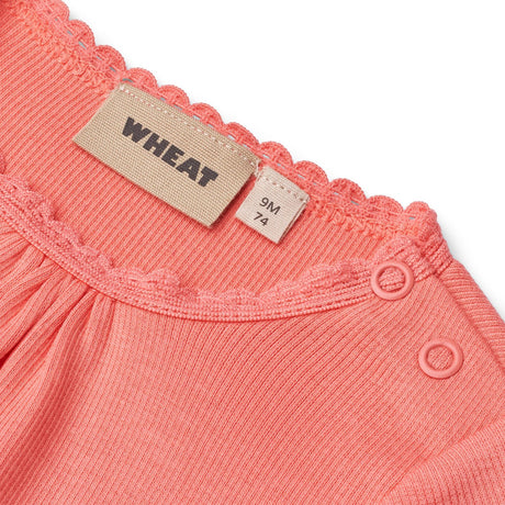 Wheat Ljus Coral Rib Body L/S Lotta