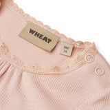 Wheat Powder Rib Body S/S Edna