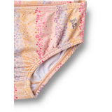 Wheat Multi Rainbow Bikini Carla