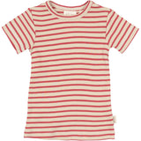 Petit Piao Light Berry/Dark Off White T-Skjorta S/S Modal Striped