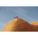 LIEWOOD Rose Transparent Darla Mr Björn Solglasögon 1-3 Y