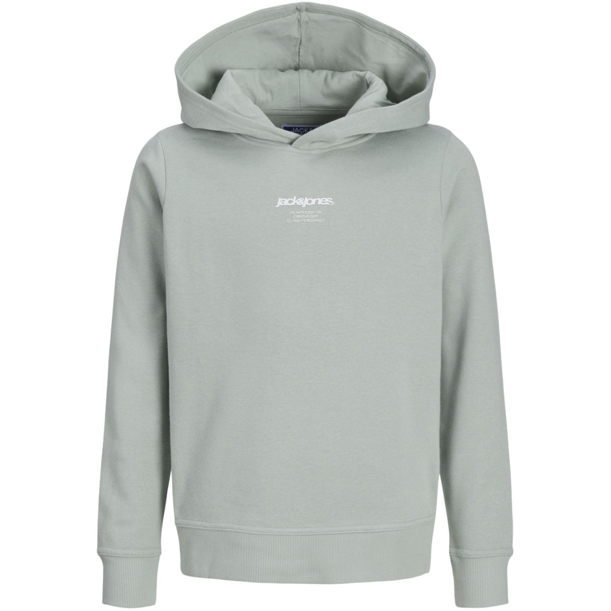 Jack & Jones Junior Aqua Gray Tarmac Camo Back Print Hoodies