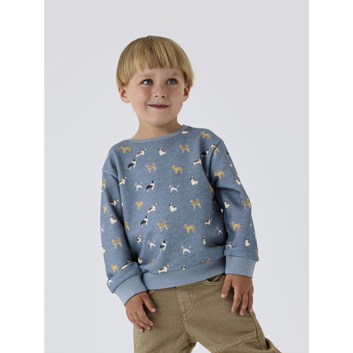 Name It Spring Lake Melange Barking Regular Sweatshirt