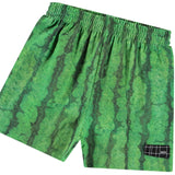 Molo Melancia Suno Shorts