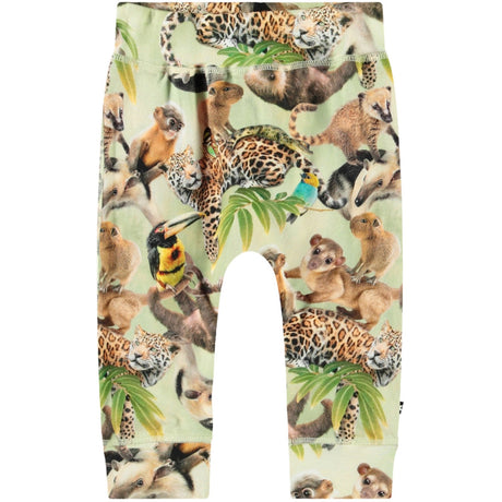 Molo Jungle Cubs Sammy Soft Byxor