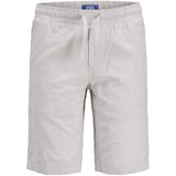 Jack & Jones Junior Crockery Aiden Summer Jogger Shorts
