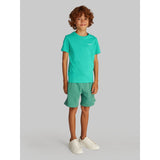 Calvin Klein Bahama Green Chest Inst.Logo Ss T-Skjorta