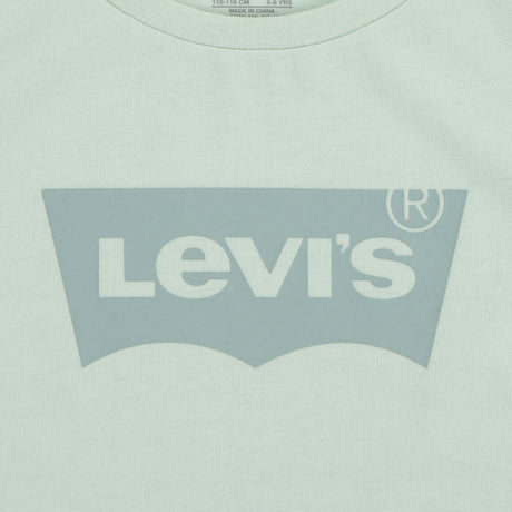 Levi's Celadon Lvg Batwing Tee