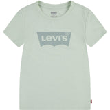 Levi's Celadon Lvg Batwing Tee