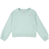 Levi's Celadon Lvg Levis Hd Silicone Batwing Sweatshirt