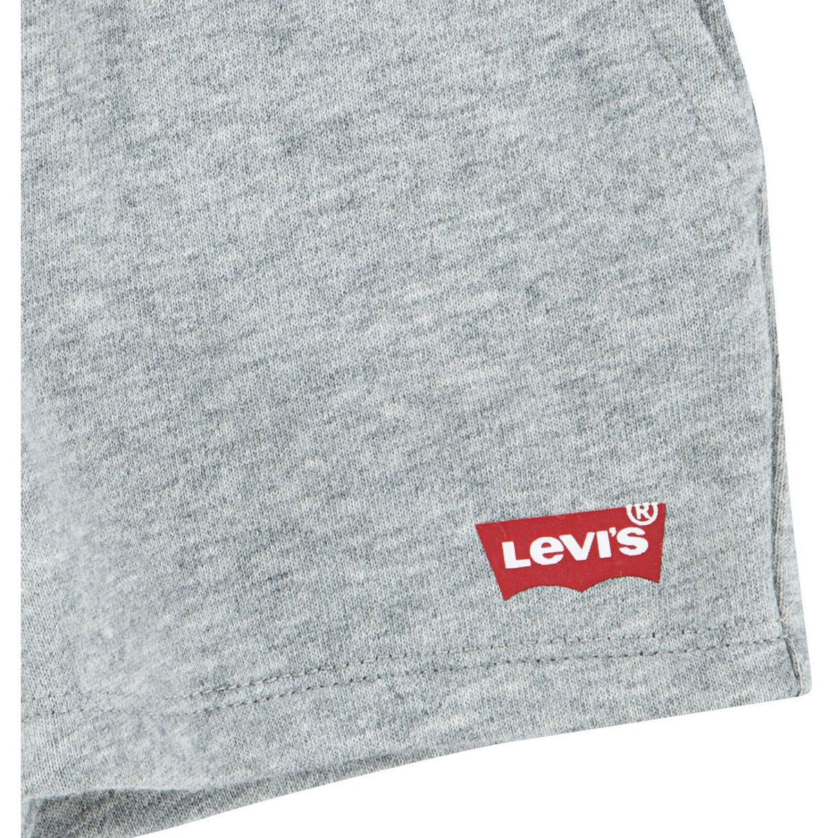 Levi's Dress Blues Lvb Batwing Tee & Stickad Shorts Set