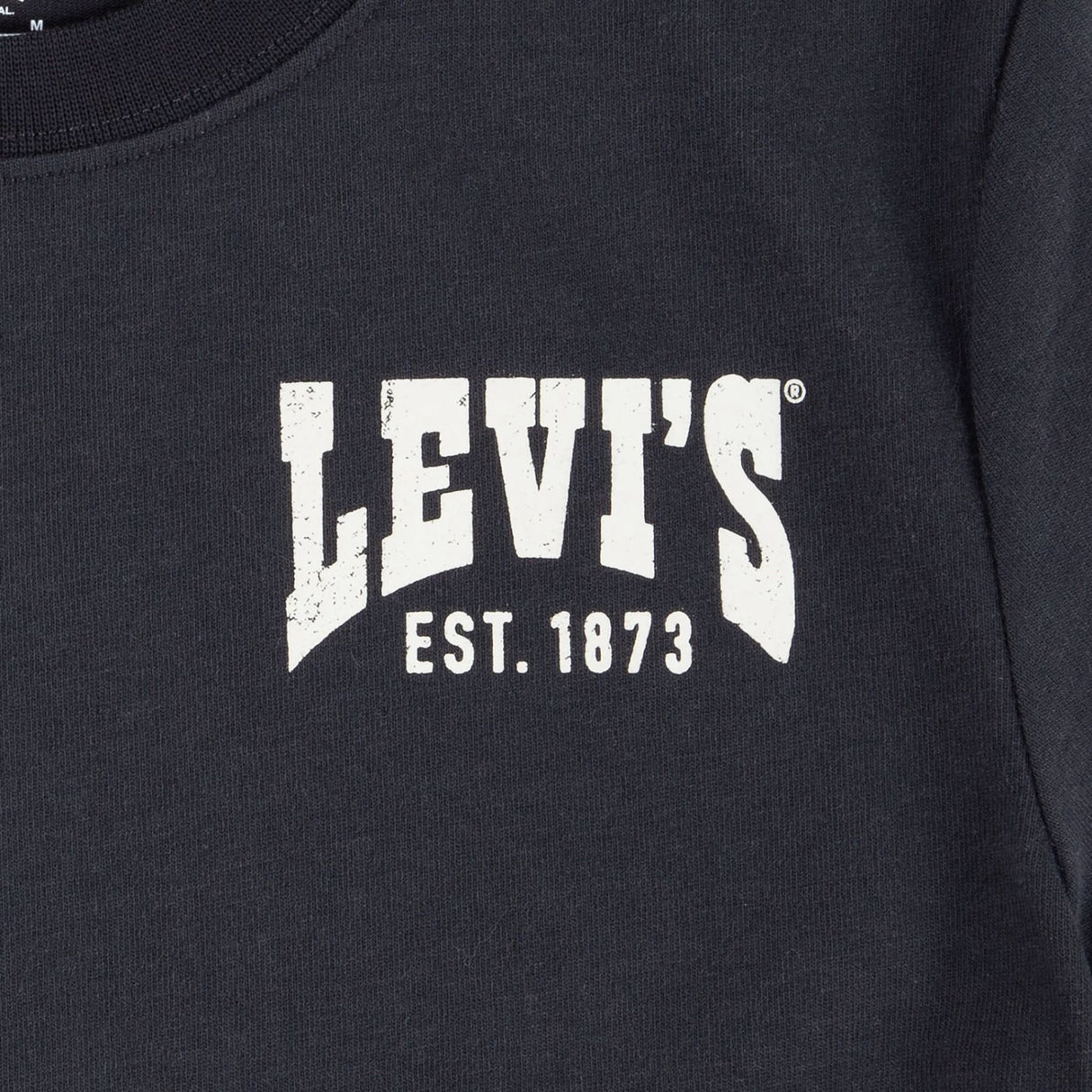 Levi's Jet Black Lvb Valley View Tee