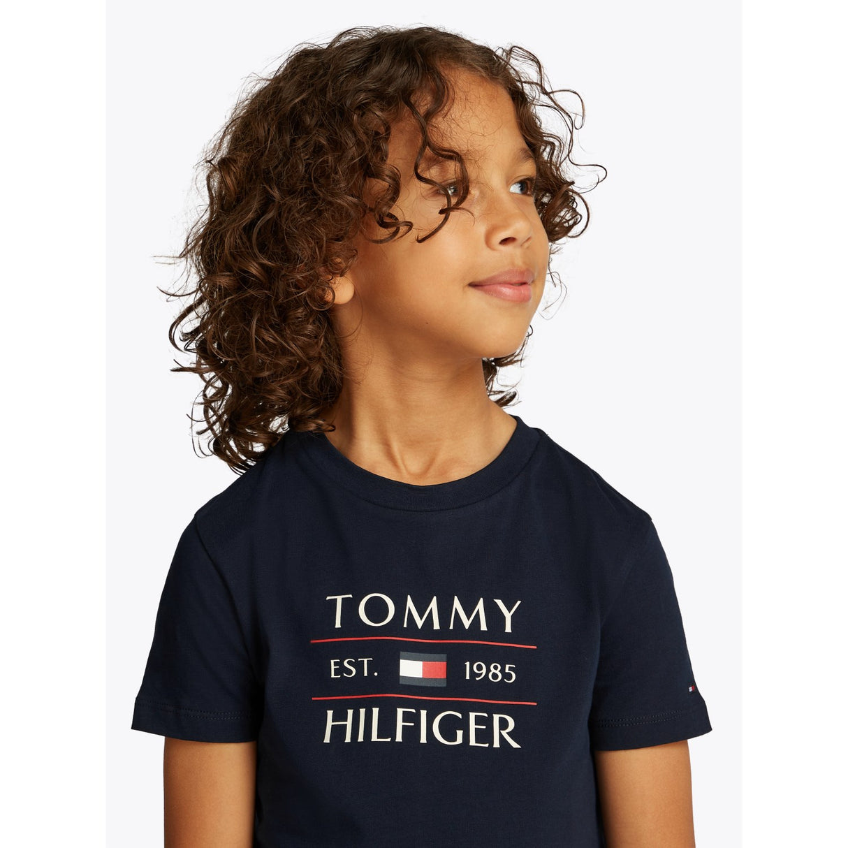 Tommy Hilfiger Dark Night Navy Flag Reg T-Skjorta