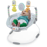 Bright Starts Disney Winnie The Pooh Classic Pals™ Vibrating Bouncer