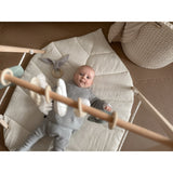 Woobiboo With Mint Baby Gym With Hangers