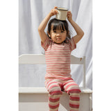 Petit Piao Light Berry/Dark Off White T-Skjorta S/S Modal Striped