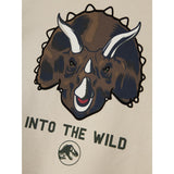 Name It Peyote Nmmjogger Jurassic Nreg Ss Topp Box Sky