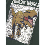 Name It Garden Topiary Nmmjewel Jurassic Nreg Ls Topp Noos Sky