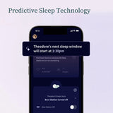 Owlet Bedtime Blue Dream Strumpo