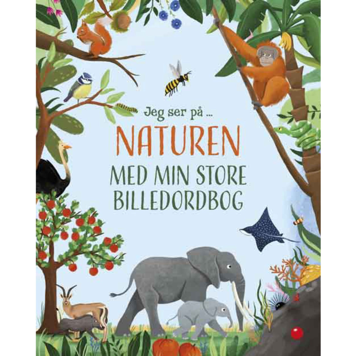 Forlaget Bolden Jeg Ser På: Naturen Med Min Store Billedordbog