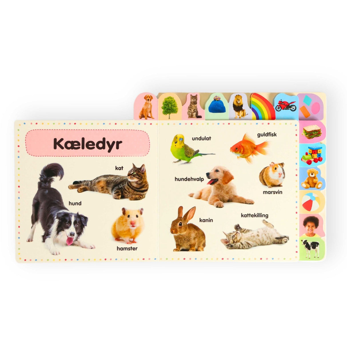 Forlaget Bolden Lær De Første 100 Ord