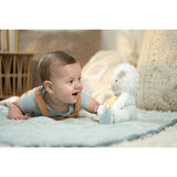 Ingenuity Sheppy™ The Sheep Calm Springs™ Plys Aktivitetsleksaker