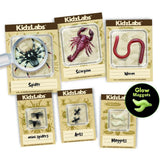 4M Kidzlabs / Creepy Crawly Digging Kit