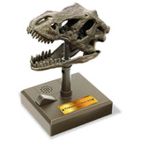 4M Kidzrobotix / Roaring T-Rex Skull