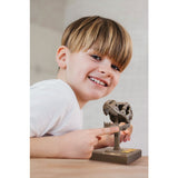 4M Kidzrobotix / Roaring T-Rex Skull