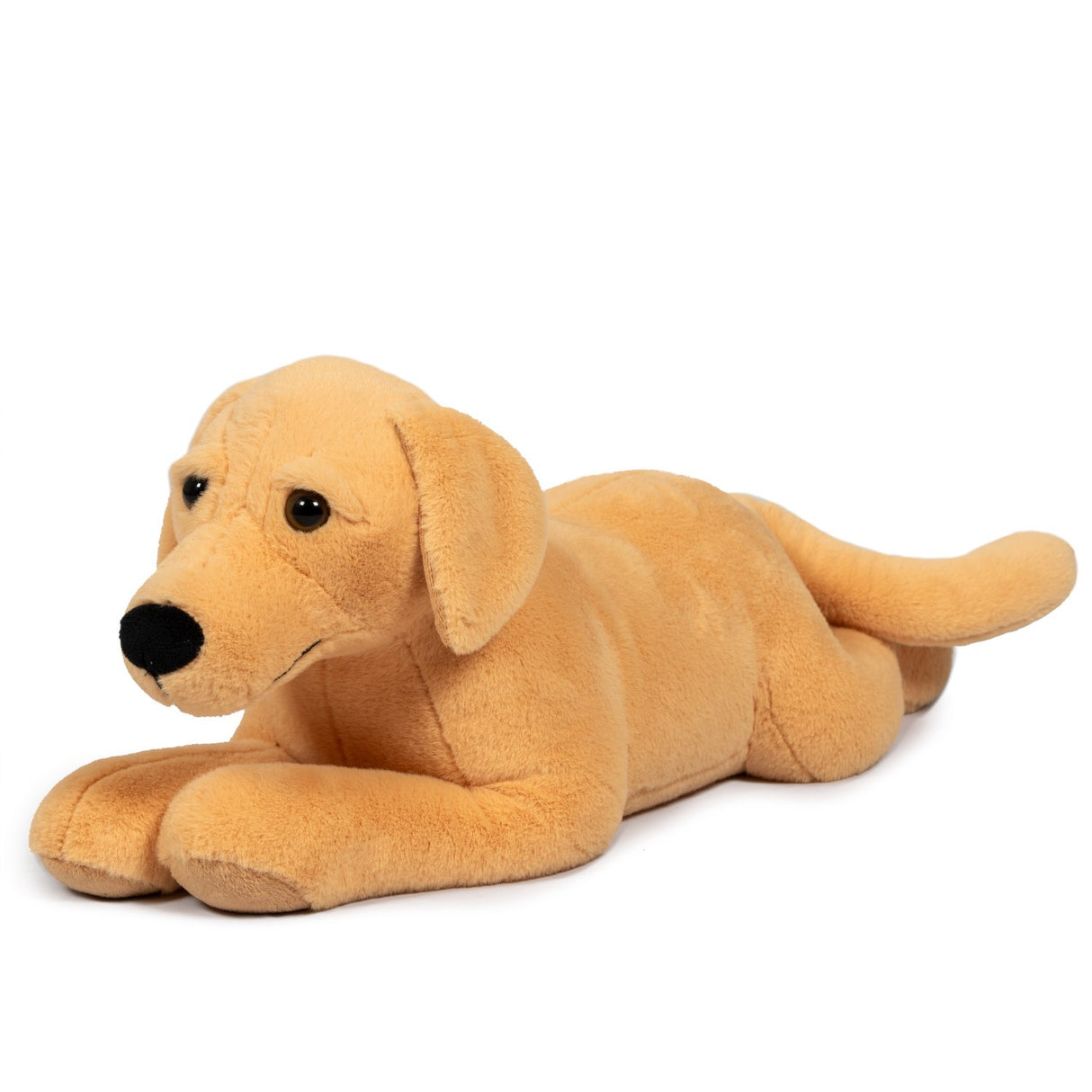 från Astrup Gravitational Dog, 2.2 kg.