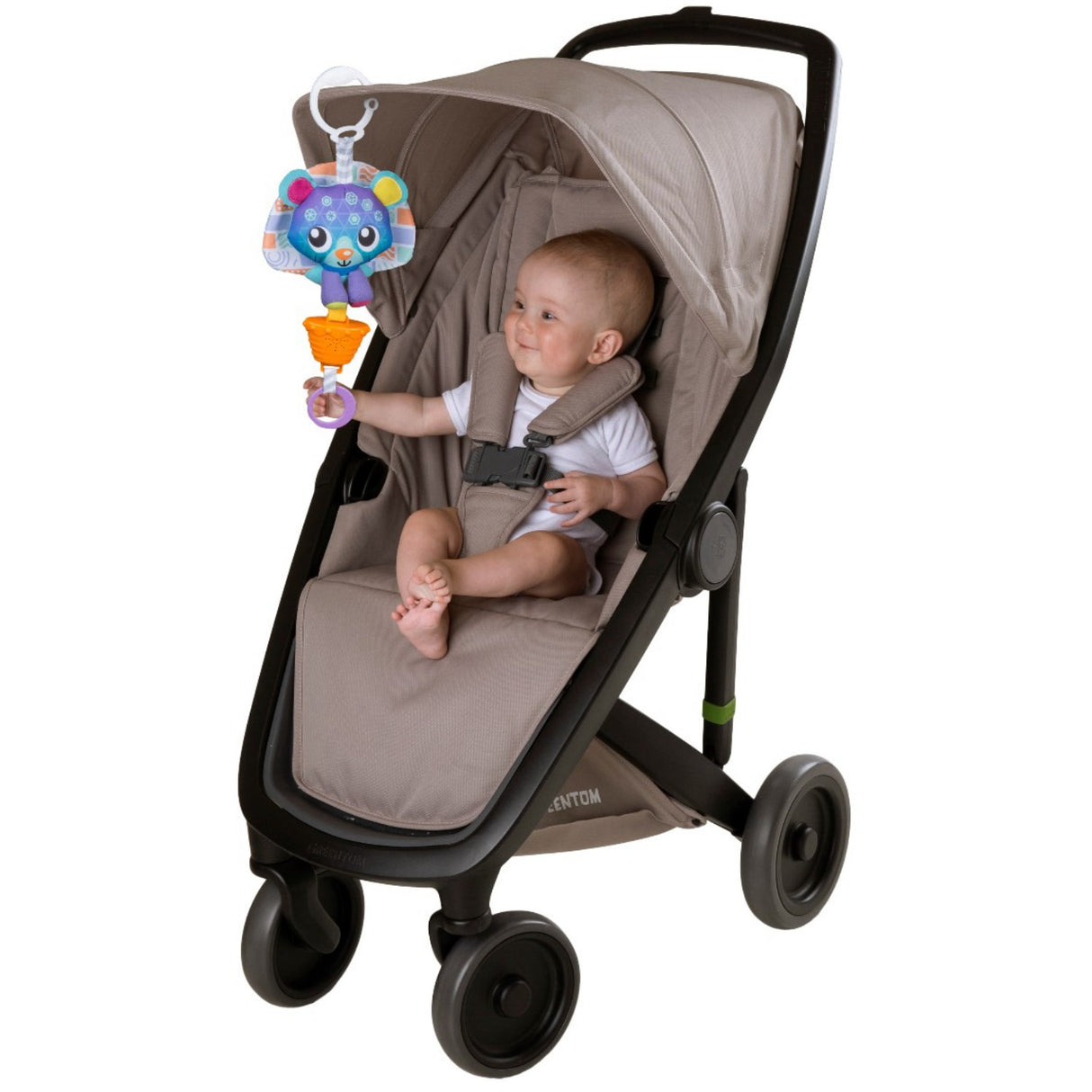 PlayGro Björn Med Musik