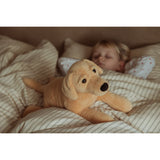 från Astrup Gravitational Dog, 2.2 kg.