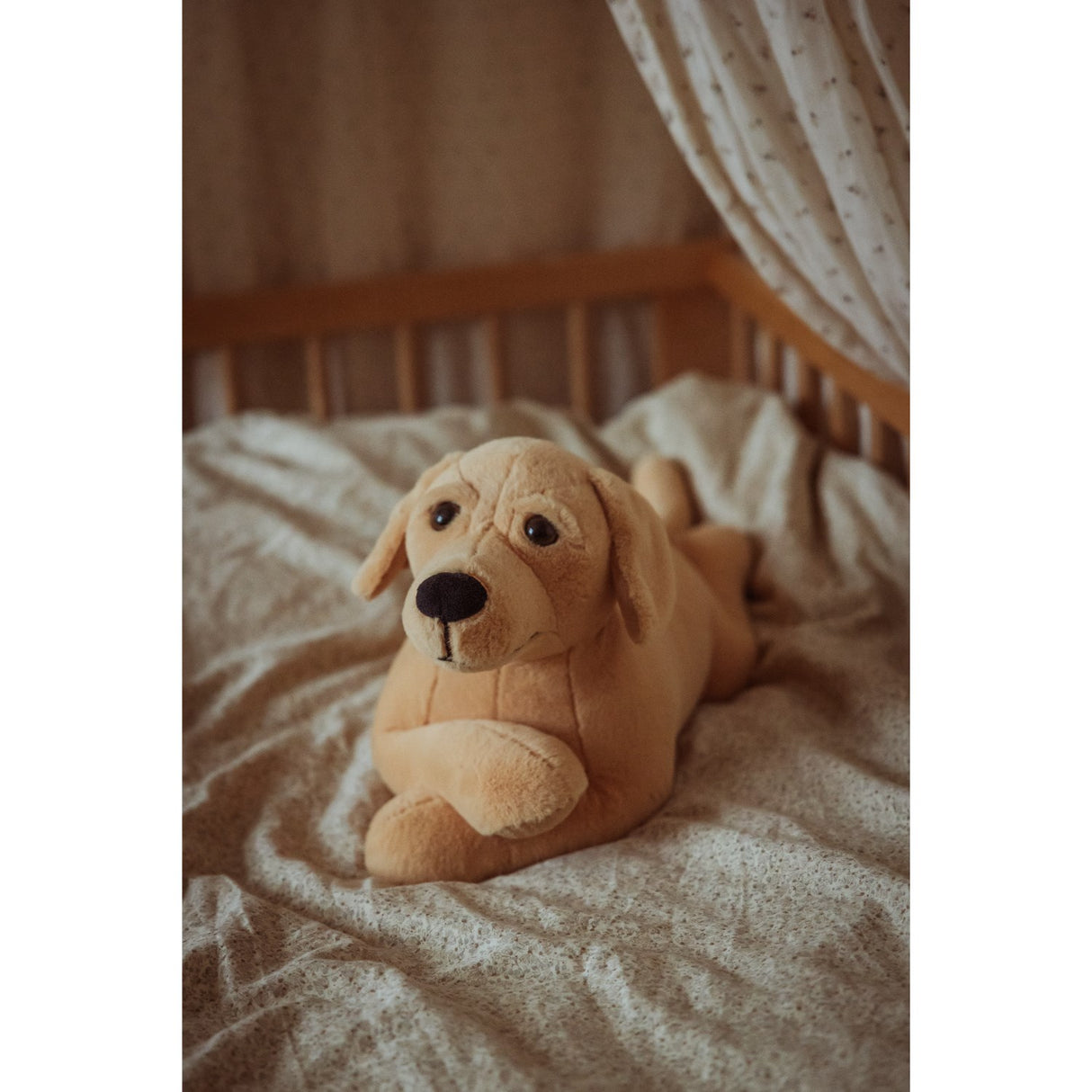 från Astrup Gravitational Dog, 2.2 kg.