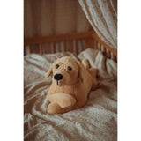 från Astrup Gravitational Dog, 2.2 kg.