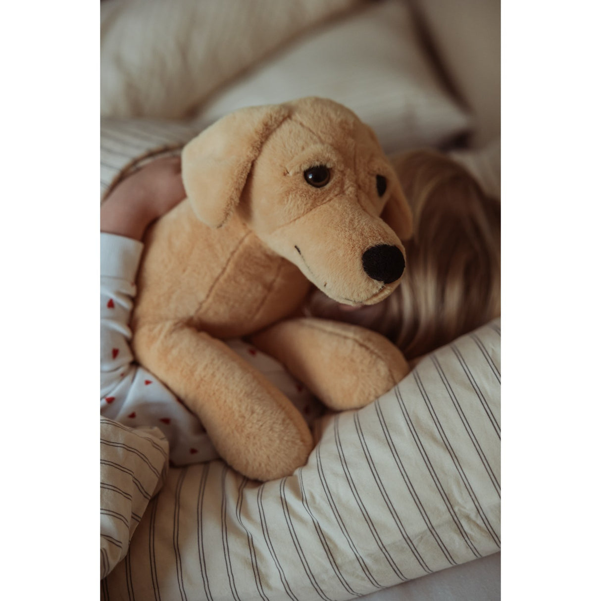 från Astrup Gravitational Dog, 2.2 kg.