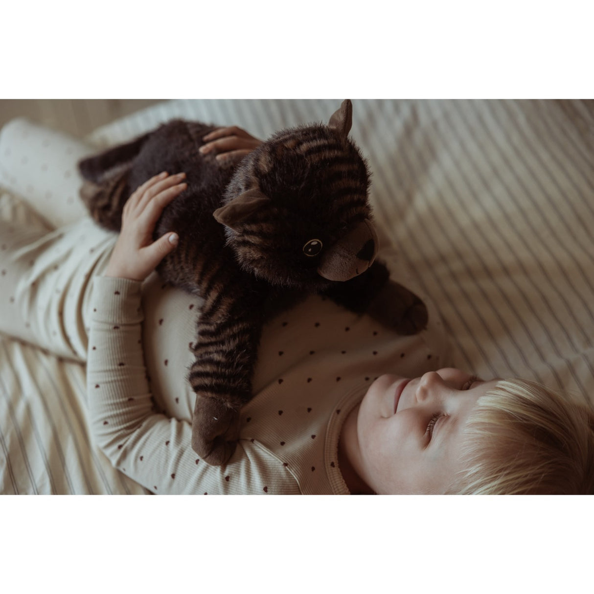 e. Astrup Gravity, katt, 1,2 kg.