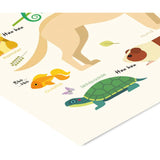 Poster & Frame Citatplakat - Kæledyr – Børneplakat