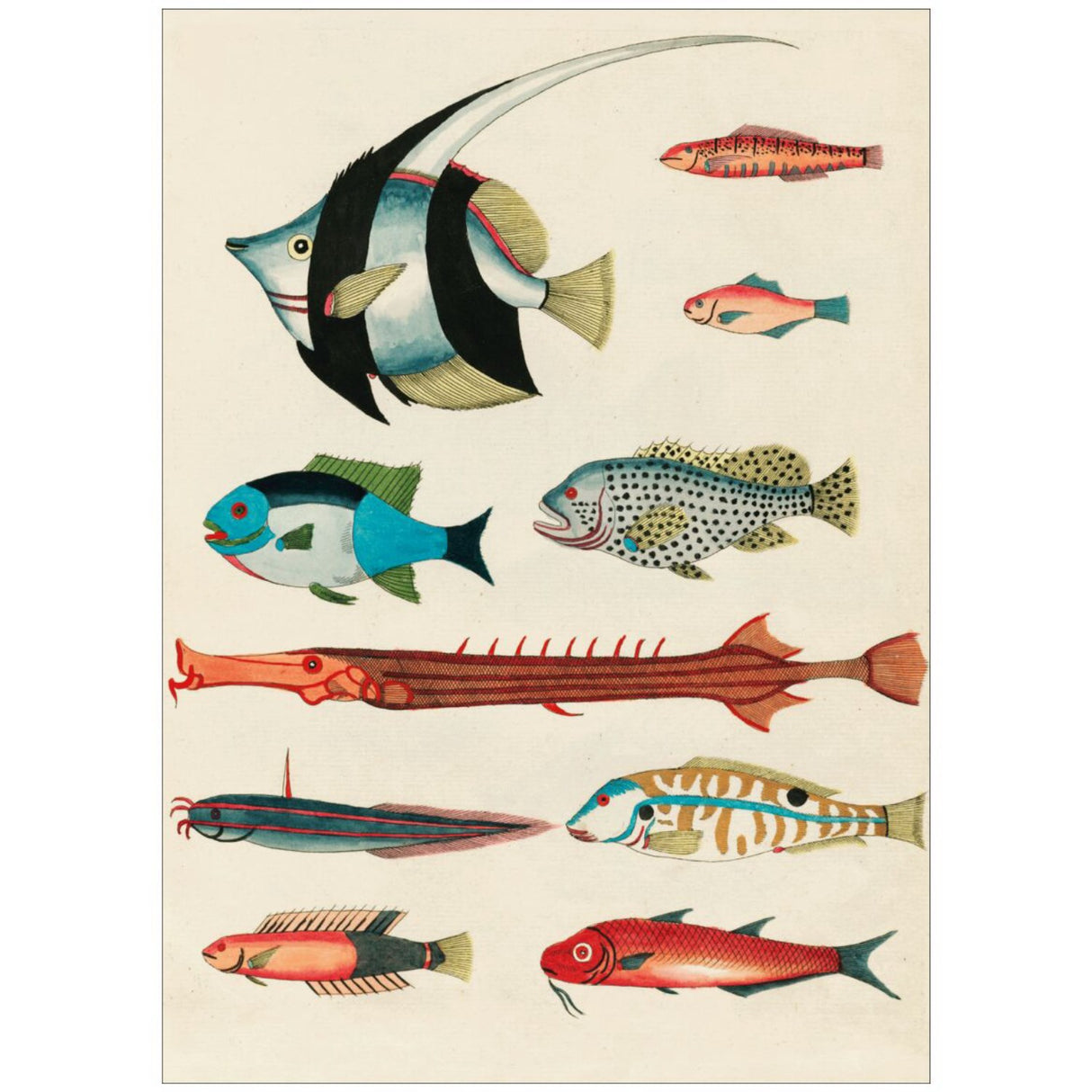 Poster & Frame Louis Renard - Colorful Fishes Lll
