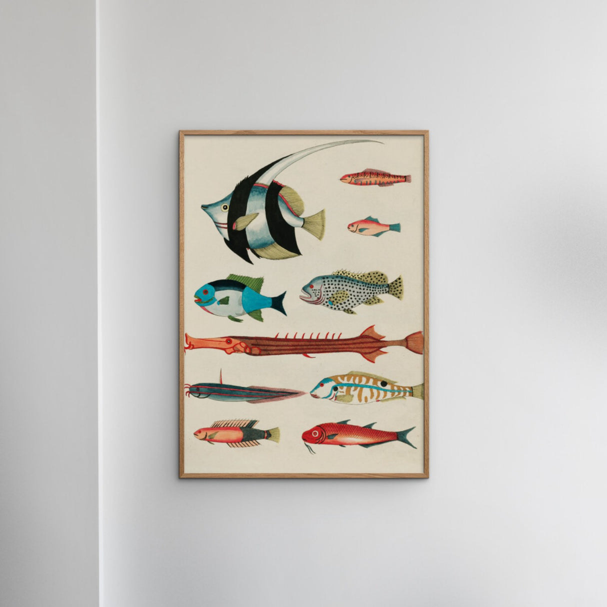 Poster & Frame Louis Renard - Colorful Fishes Lll