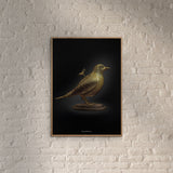 Poster & Frame Story Of Andersen - Nattergalen - Hvid/Sort Baggrund