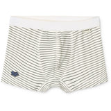 LIEWOOD Mini Dinosaurs Creme Mix Marvin Kalsonger 3-Pack