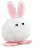 Out Of The Box Pompondyr