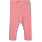 Wheat Soft Pink Rib Leggings Maddy